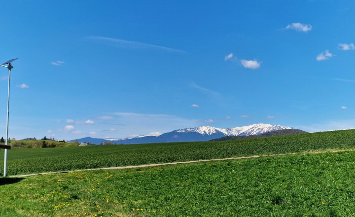 2 stavebné pozemky na výstavbu RD alebo rekreačného sídla. - fotografia 3