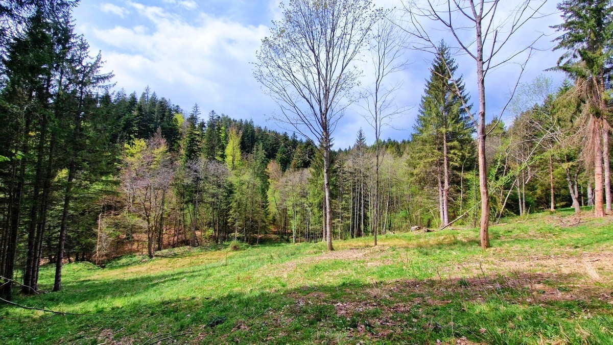 Exkluzívne stavebné pozemky Tále – Nízke Tatry