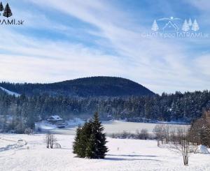 Posledný voľný Apartmán s najkrajším výhľadom na Nízke Tatry