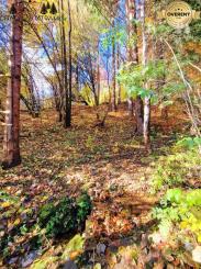 Útulná chata polosamota Tále Nízke Tatry