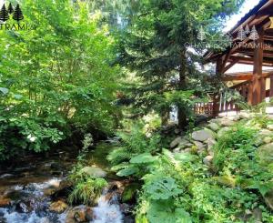 Útulná 4i chata v lesnom prostredí Mýto p. Ďumbierom Nízke Tatry