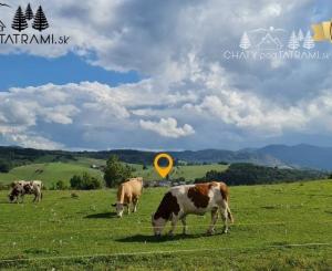 2i apartmán v rekreačnom komplexe s bazénom Nízke Tatry