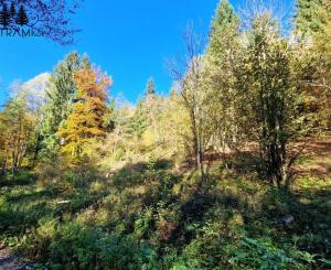 Pozemok s IS a stavebným povolením Krpáčovo Nízke Tatry - odstúpenie