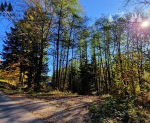 Pozemok s IS a stavebným povolením Krpáčovo Nízke Tatry - odstúpenie