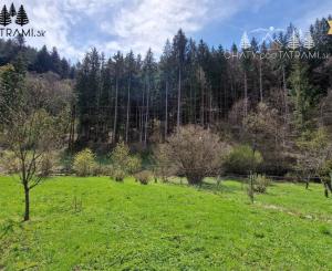 Rovinatý stavebný pozemok s IS Bystrá Nízke Tatry