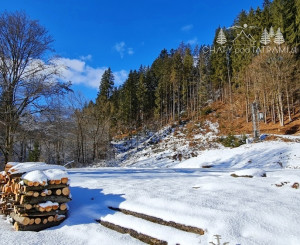 Investičná príležitosť v srdci prírody: Pozemok v Kamenistej