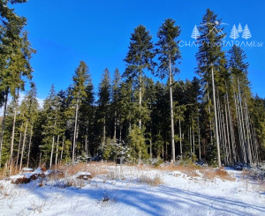 Investičná príležitosť v srdci prírody: Pozemok v Kamenistej