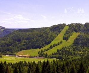 Nová 4 izbová chata s galériou v lese - Tále, Nízke Tatry