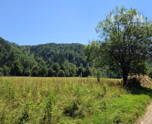 Stavebný pozemok v lese – Mýto pod Ďumbierom Nízke Tatry
