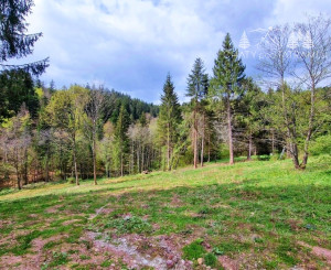 Exkluzívne stavebné pozemky Tále – Nízke Tatry