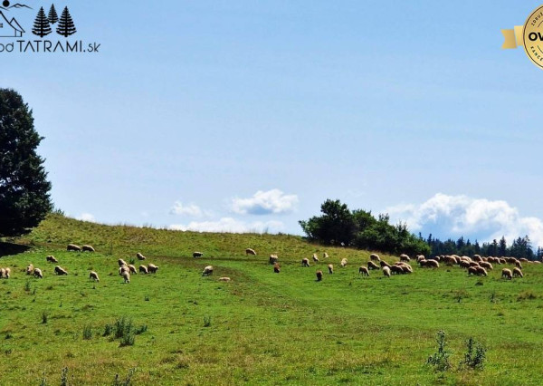 Útulná 3i drevenica Horná Lehota Nízke Tatry 