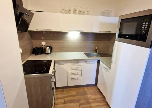 Top Cena 3i apartmán s krbom pri Hoteli Bystrá Nízke Tatry