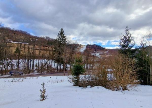 Rekreačný pozemok pri Hoteli Bystrá Nízke Tatry