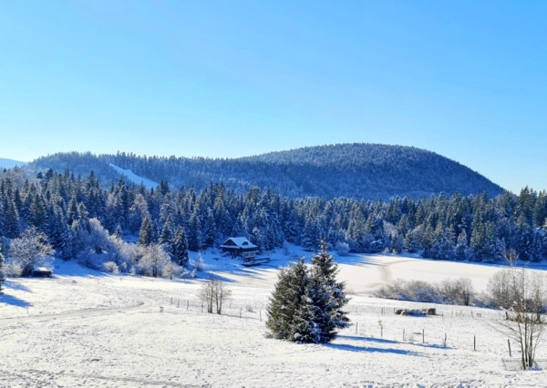 5i chalet na slnečnom pozemku Krpáčovo Nízke Tatry