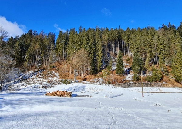 Investičná príležitosť v srdci prírody: Pozemok v Kamenistej