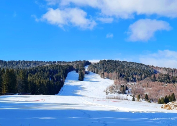 Investičná príležitosť v srdci prírody: Pozemok v Kamenistej