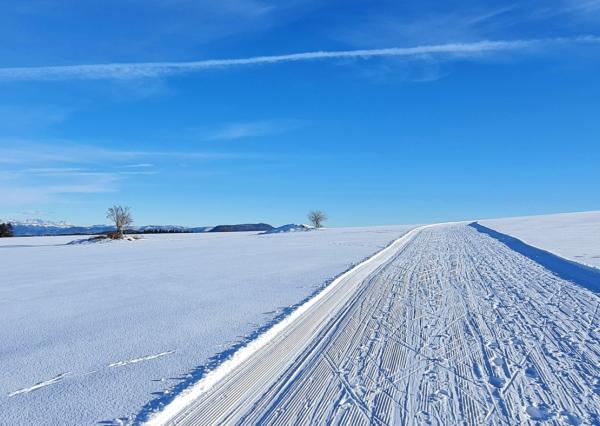 Precízna drevostavba nad mrakmi s bezkonkurenčným výhľadom