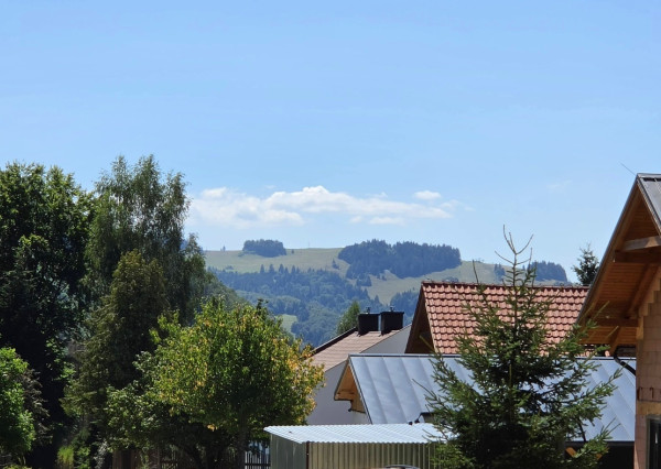 Stavebný pozemok v lese – Mýto pod Ďumbierom Nízke Tatry