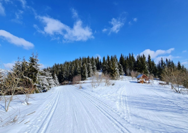 Útulná 4i chalupa pri potoku – Jarabá, Nízke Tatry