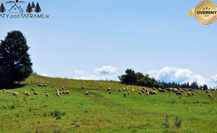 Útulná 3i drevenica Horná Lehota Nízke Tatry  - fotografia 25