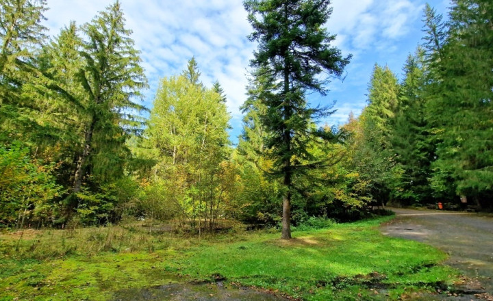 Pozemok pri vchode do jaskyne Bystrá Nízke Tatry - fotografia 2