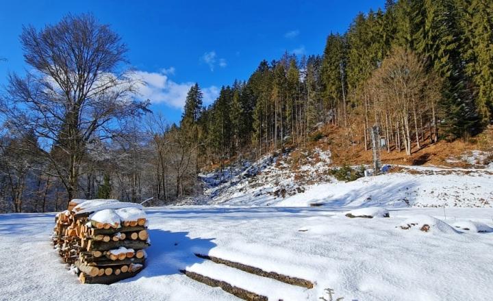 Investičná príležitosť v srdci prírody: Pozemok v Kamenistej - fotografia 5