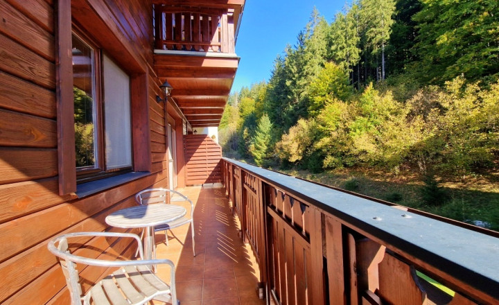 Predaj 2i apartmán s terasou a garážou Tále Nízke Tatry - fotografia 14